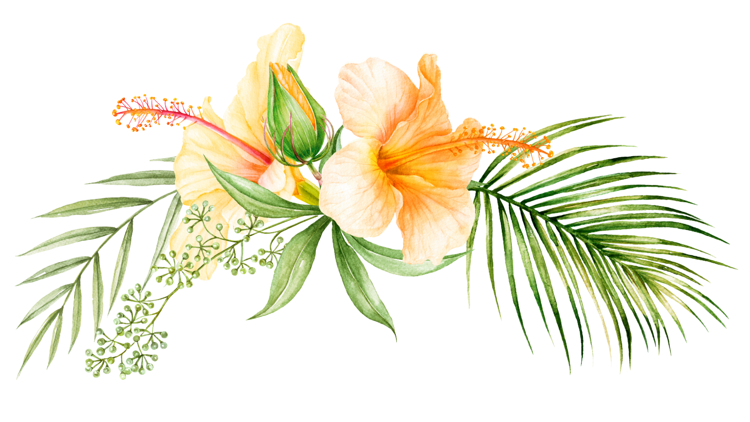 haartrockner clipart flower